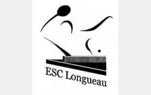 Bilan de la Journée du Ping de LONGUEAU ESC