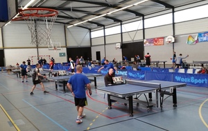 58ee3430008c3_Fpc2017Salle03.jpg